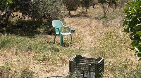 Foto 2 de Finca rústica en venda a Calle de Los Médicos Rodríguez E Ibáñez, 30, Alhama de Almería, Almería
