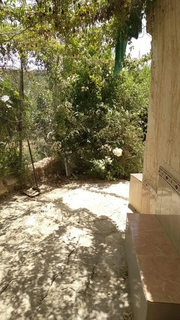 Finca rústica en venda a Calle de Los Médicos Rodríguez E Ibáñez, 30, Alhama de Almería Jardí de Finca rústica en venda en Alhama de Almería