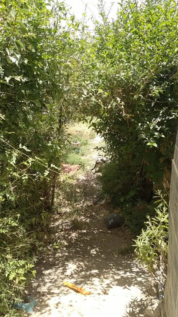 Finca rústica en venda a Calle de Los Médicos Rodríguez E Ibáñez, 30, Alhama de Almería Vista exterior de Finca rústica en venda en Alhama de Almería