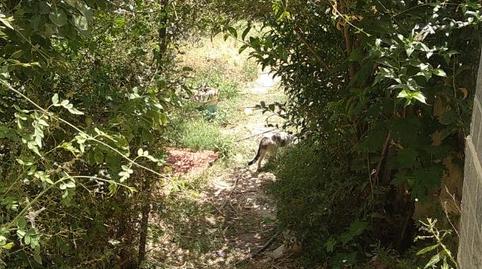 Foto 4 de Finca rústica en venda a Calle de Los Médicos Rodríguez E Ibáñez, 30, Alhama de Almería, Almería