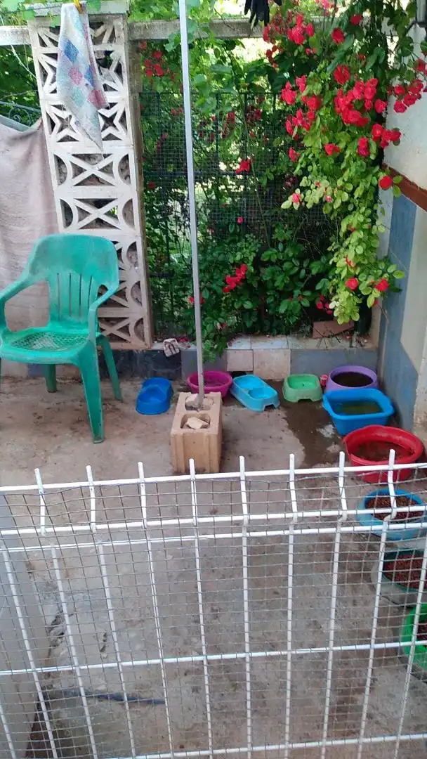 Finca rústica en venda a Calle de Los Médicos Rodríguez E Ibáñez, 30, Alhama de Almería Jardí de Finca rústica en venda en Alhama de Almería