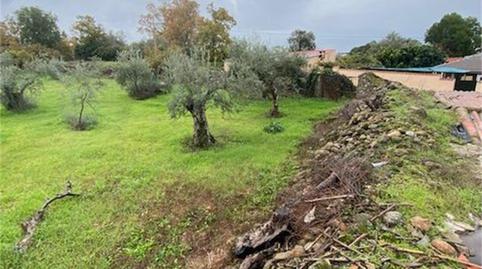 Foto 3 von Grundstücke zum Verkauf in Calle Segura, Aldeanueva del Camino, Cáceres