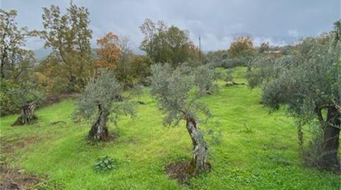 Foto 4 von Grundstücke zum Verkauf in Calle Segura, Aldeanueva del Camino, Cáceres