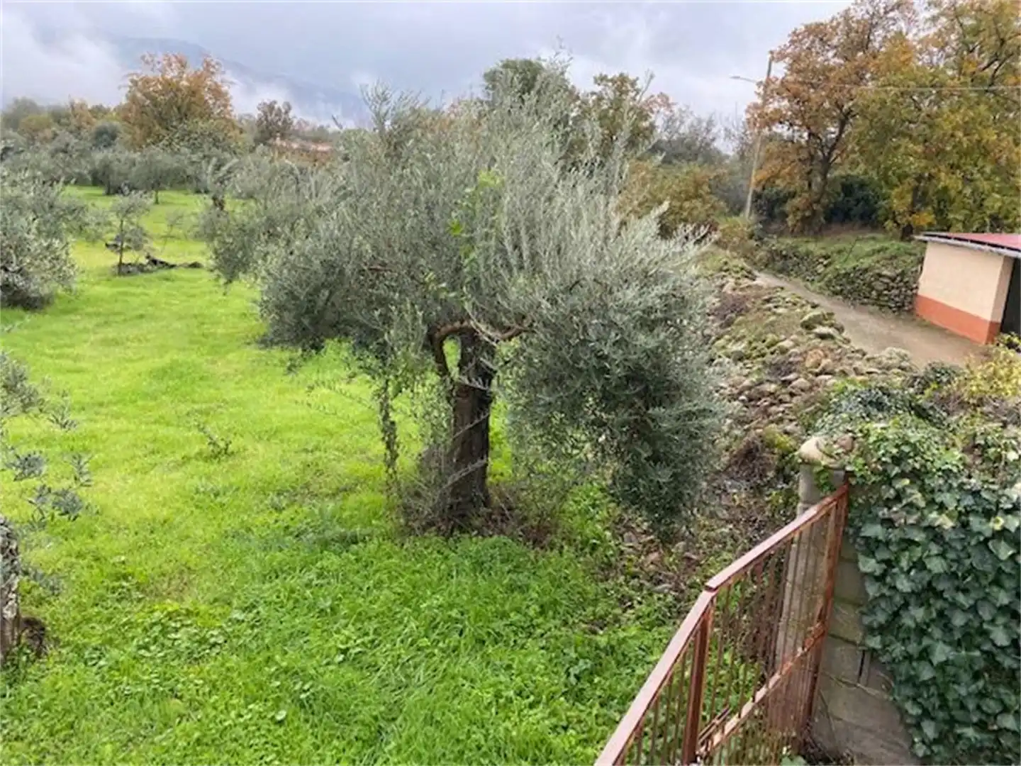 Terreno en venta en Calle Segura, Aldeanueva del Camino Terreno en venta en Calle Segura, Aldeanueva del Camino