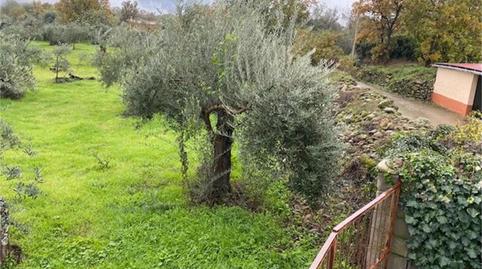 Foto 5 von Grundstücke zum Verkauf in Calle Segura, Aldeanueva del Camino, Cáceres