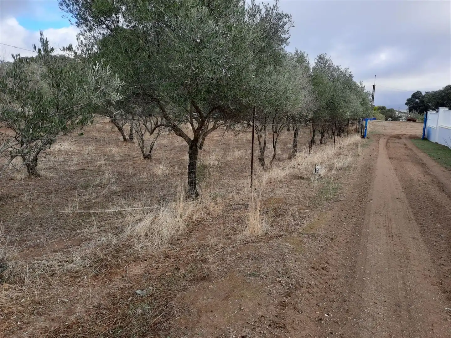 Finca rústica en venta en Belmez con Aire acondicionado, Jardín privado y Terraza