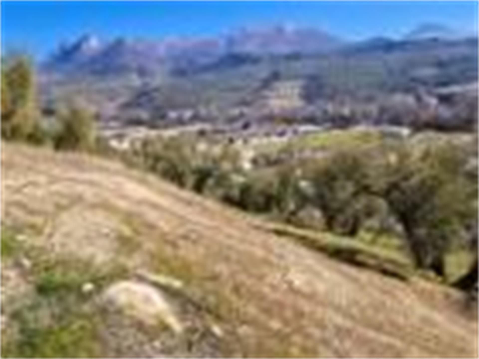 Exterior view of Land for sale in Deifontes