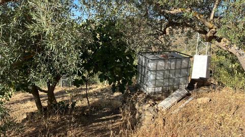 Finca rústica en venda a Carretera Casabermeja, Residencial Jardín Botánico, Málaga - imatge 5 Foto 5 de Finca rústica en venda a Carretera Casabermeja, Residencial Jardín Botánico, Málaga