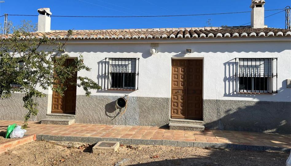 Finca rústica en venda a Carretera Casabermeja, Residencial Jardín Botánico, Málaga - imatge 1 Foto 1 de Finca rústica en venda a Carretera Casabermeja, Residencial Jardín Botánico, Málaga