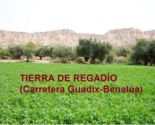 Garden of Land for sale in Guadix