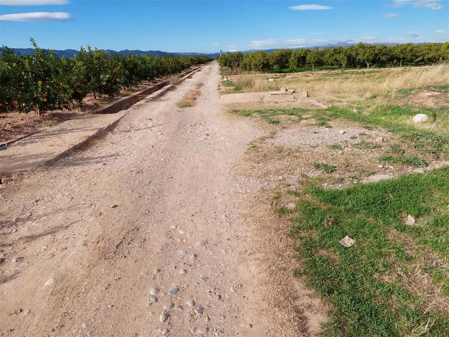 Non-constructible Land for sale in Partida Poligono 24, 79, Piscinas Non-constructible Land for sale in Burriana / Borriana