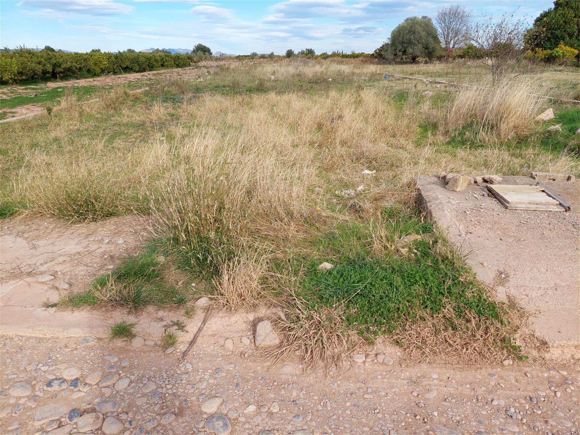 No Urbanitzable en venda en Burriana / Borriana