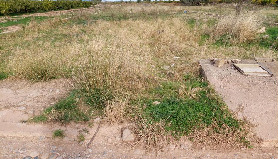 Foto 1 de No Urbanitzable en venda a Partida Poligono 24, 79, Piscinas, Castellón