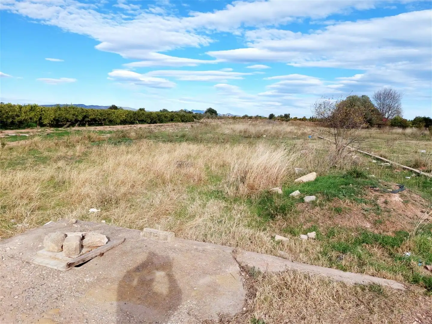 Non-constructible Land for sale in Partida Poligono 24, 79, Piscinas Non-constructible Land for sale in Burriana / Borriana