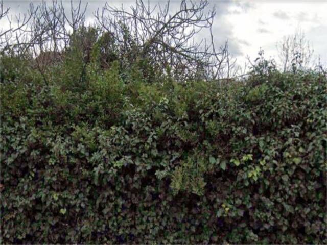 Terreno en Venta en Calle San Juan en Cendea de Olza / Oltza Zendea