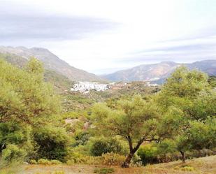 Land for sale in A-373, Cortes de la Frontera