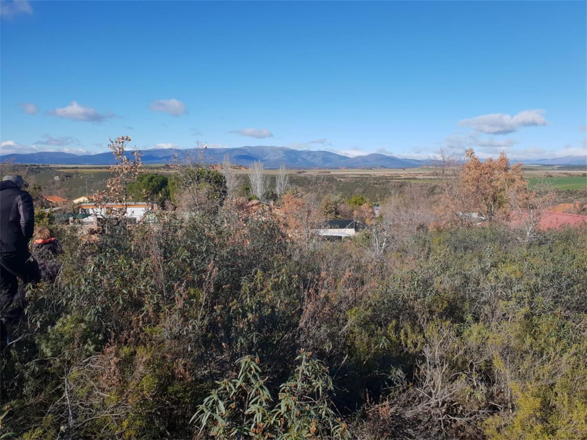 Terreno en venta en Matarrubia