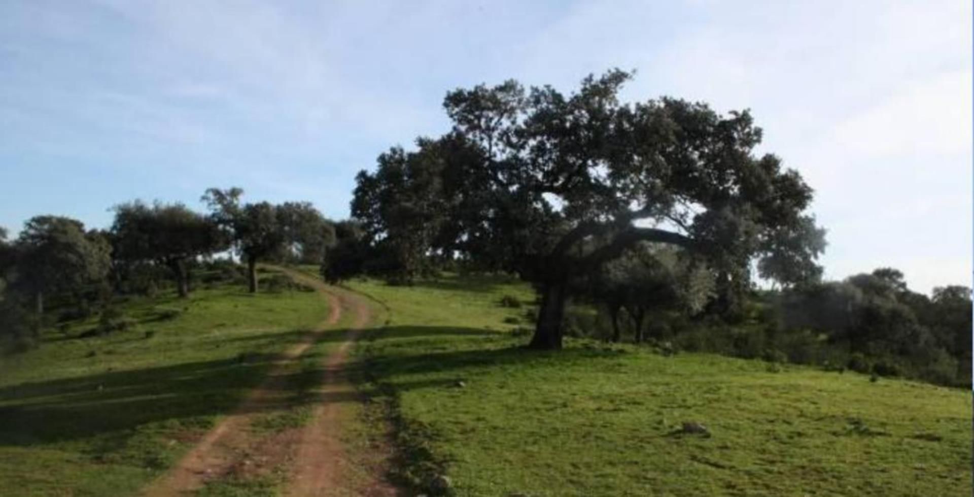 Exterior view of Land for sale in  Jaén Capital