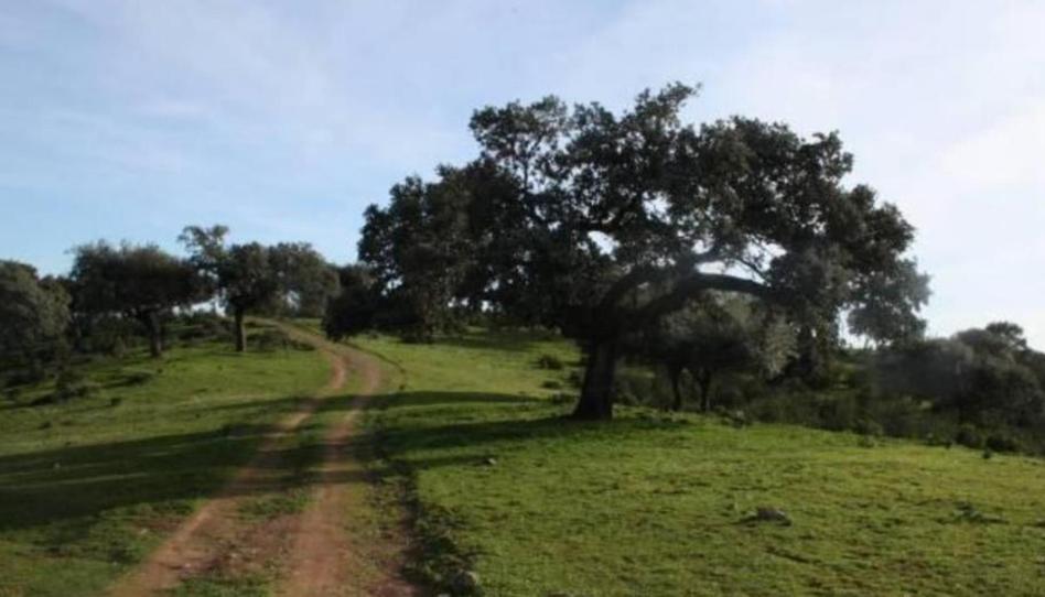 Photo 1 of Land for sale in Calle de la Virgen de la Cabeza, Avda de Madrid - Pº de la Estación, Jaén