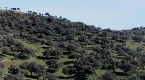 Photo 2 of Land for sale in Calle de la Virgen de la Cabeza, Avda de Madrid - Pº de la Estación, Jaén