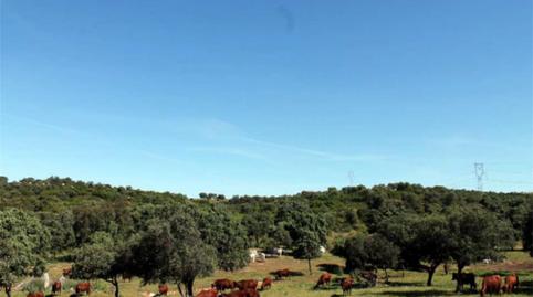 Photo 4 of Land for sale in Calle de la Virgen de la Cabeza, Avda de Madrid - Pº de la Estación, Jaén