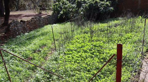 Foto 4 de Terreny en venda a Calle Montes Bajos, 24, Aroche, Huelva