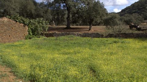 Foto 5 de Terreny en venda a Calle Montes Bajos, 24, Aroche, Huelva