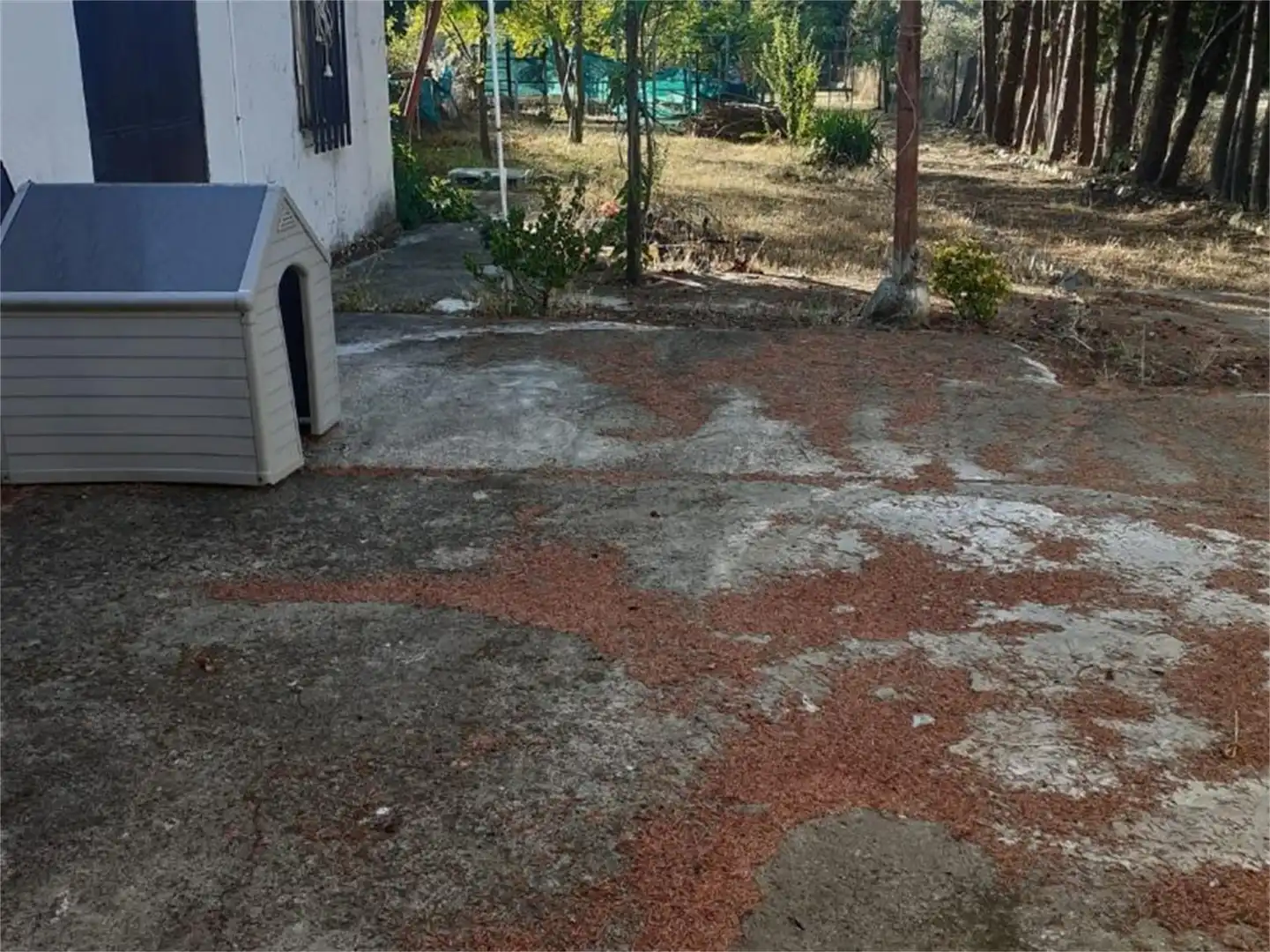 Terreno en venta en Carretera Valdepeña de la Sierra, Valdepeñas de la Sierra Jardín de Terreno en venta en Valdepeñas de la Sierra