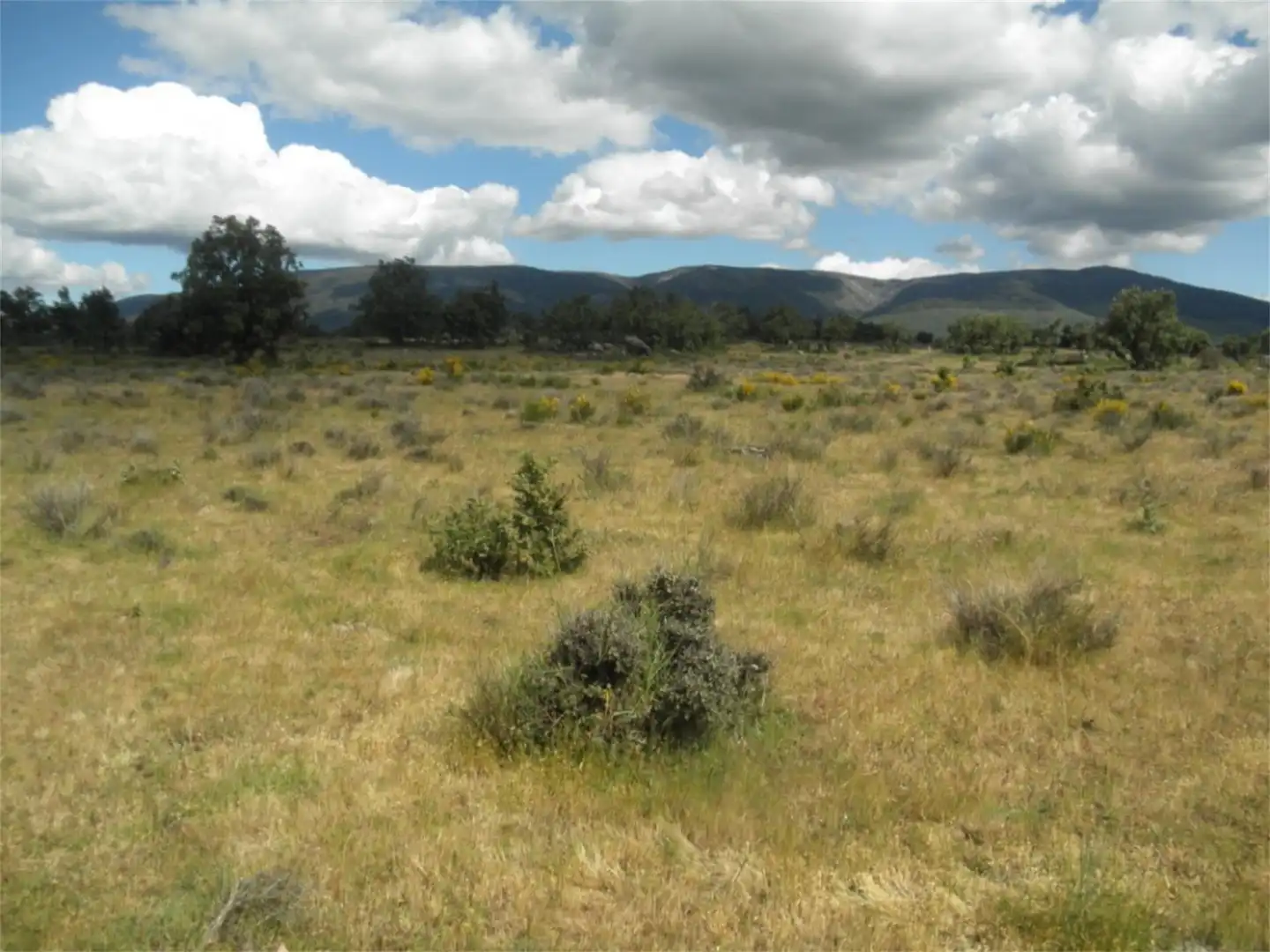 Terreno en venta en Sotosalbos