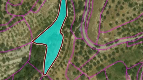 Land for sale in Beires, Almería - image 3 Photo 3 of Land for sale in Beires, Almería