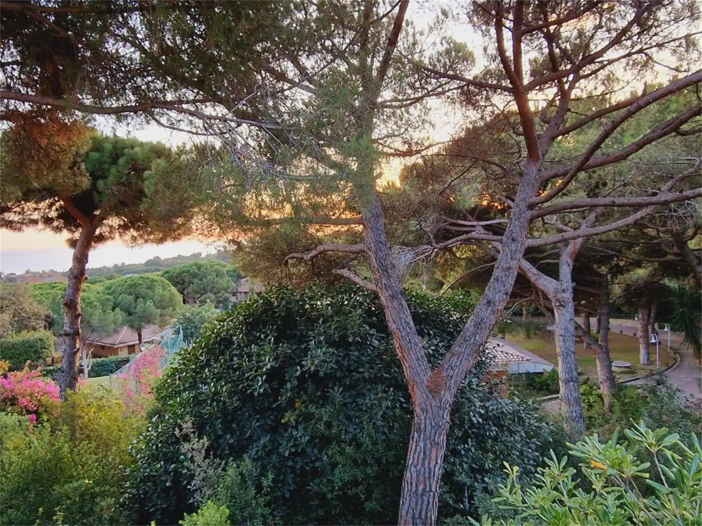 Casa o xalet en venda a Passeig de Bell-aire, 32, Bell - Aire Jardí de Casa o xalet en venda en Sant Andreu de Llavaneres amb Aire condicionat, Terrassa i Piscina