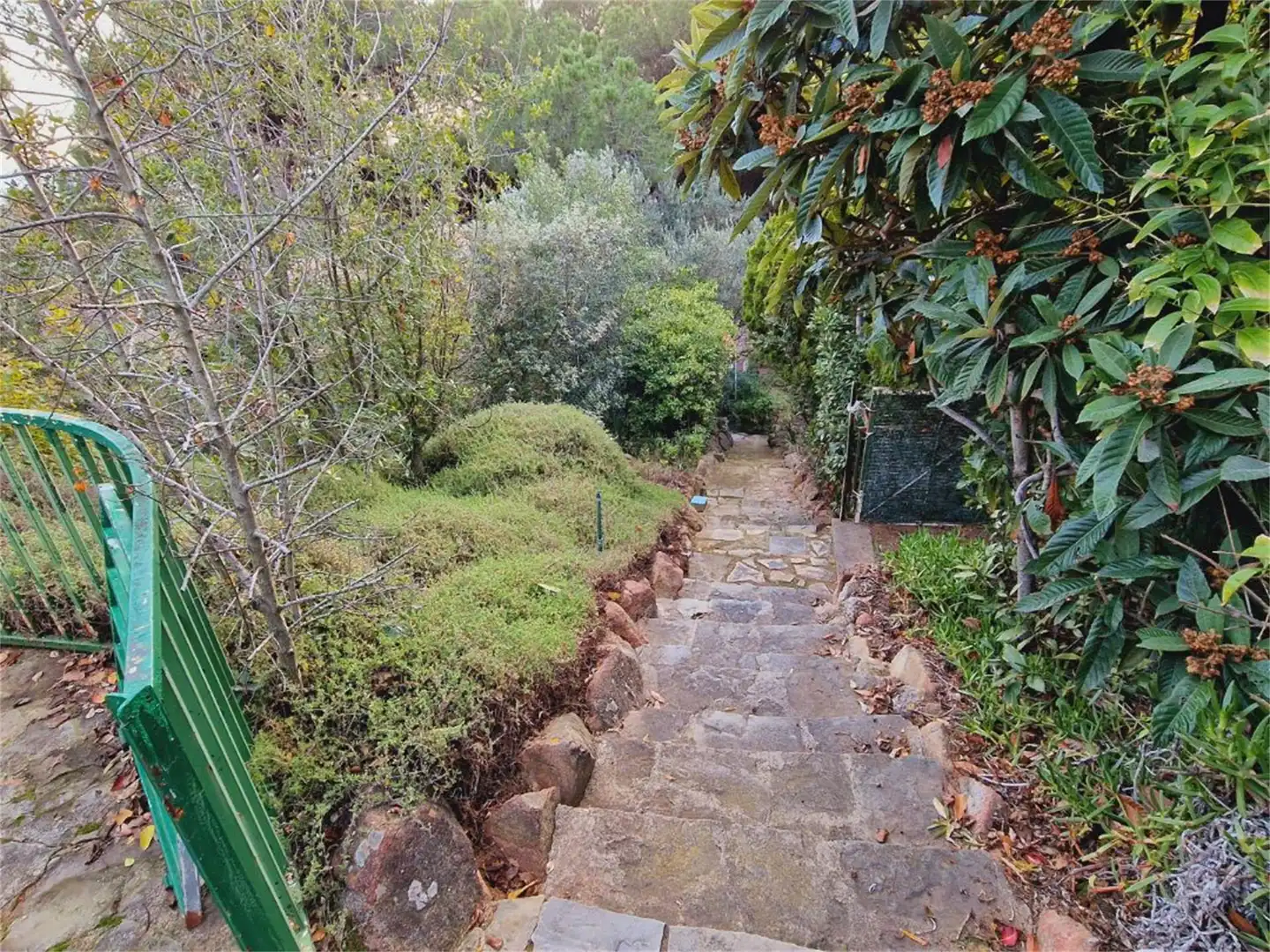 Casa o xalet en venda a Passeig de Bell-aire, 32, Bell - Aire Jardí de Casa o xalet en venda en Sant Andreu de Llavaneres amb Aire condicionat, Terrassa i Piscina