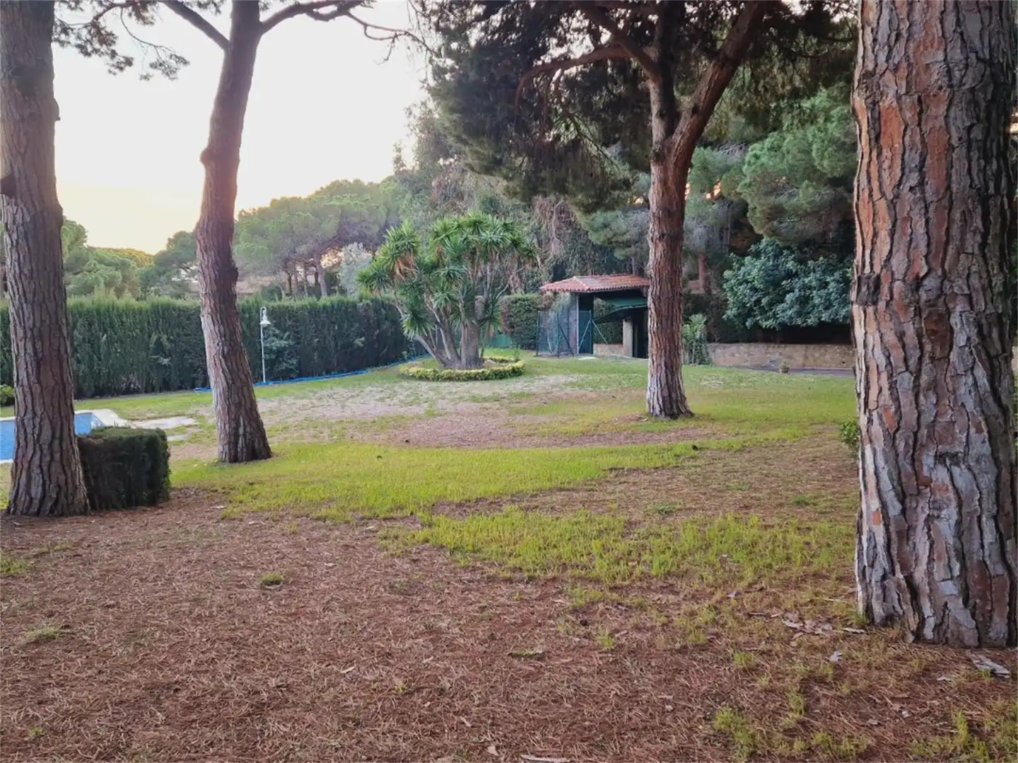 Casa o xalet en venda a Passeig de Bell-aire, 32, Bell - Aire Jardí de Casa o xalet en venda en Sant Andreu de Llavaneres amb Aire condicionat, Terrassa i Piscina