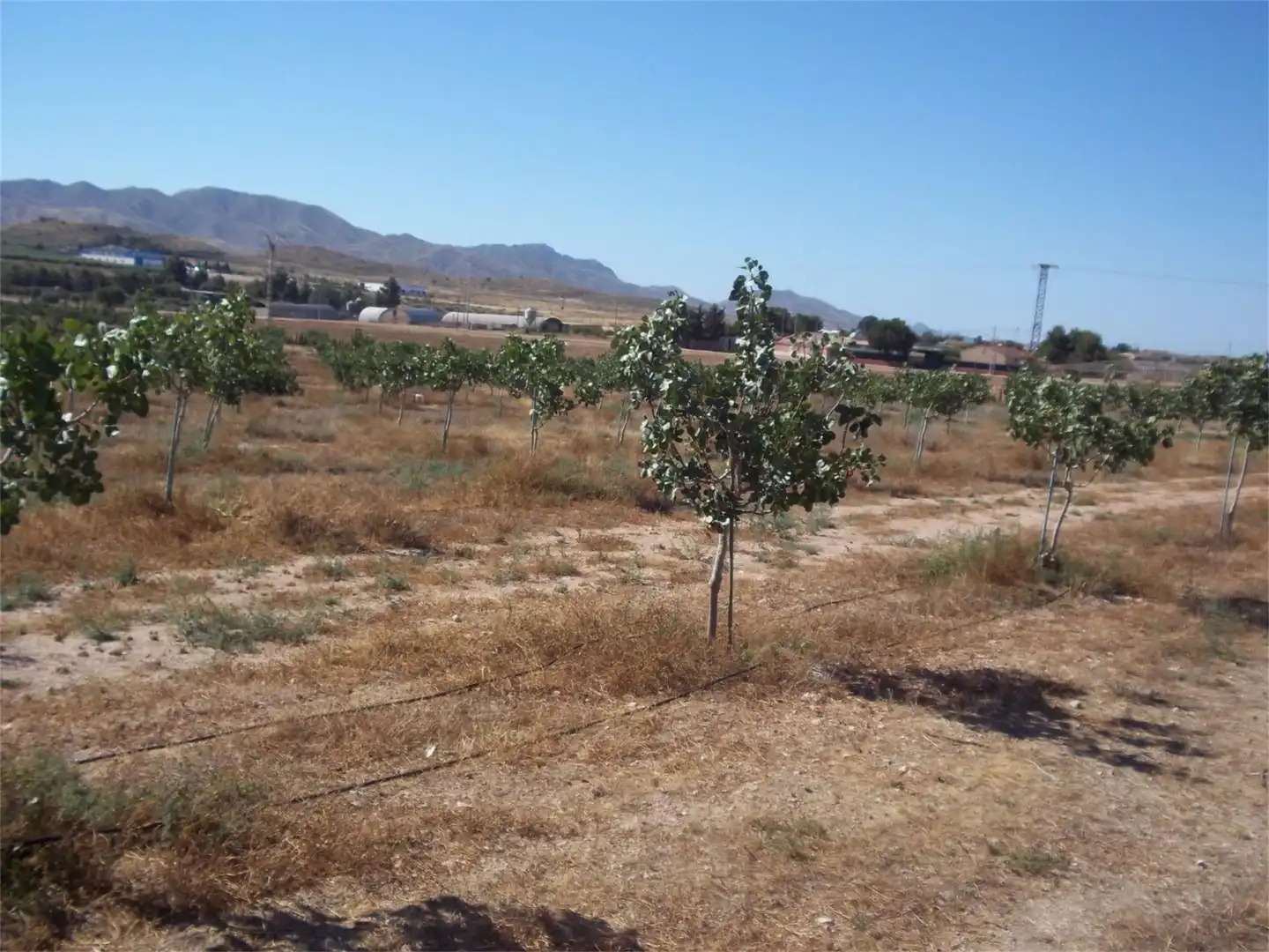 Houses for sale in Lorca  with Air Conditioner and Terrace