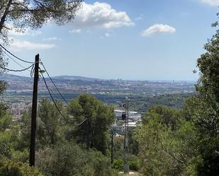 Vista exterior de Finca rústica en venda en Sant Vicenç Dels Horts