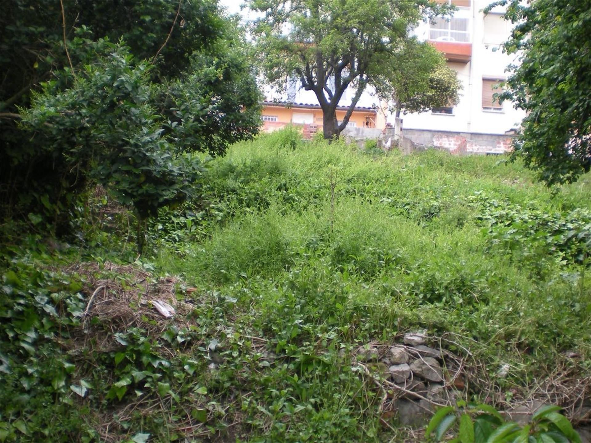 Land for sale in Santander