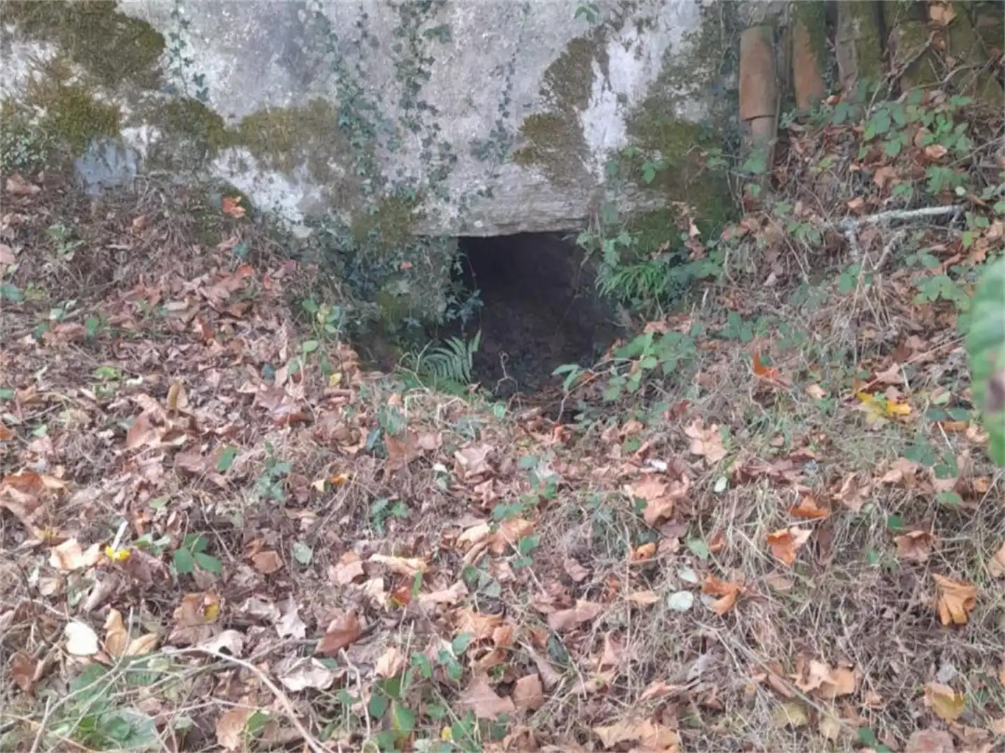 Planta baixa en venda a Lugar Vilela, 4, Aranga Vista exterior de Planta baixa en venda en Aranga