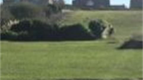 Constructible Land for sale in Calle de la Arnia, 18a, Soto de la Marina, Cantabria - image 2 Photo 2 of Constructible Land for sale in Calle de la Arnia, 18a, Soto de la Marina, Cantabria