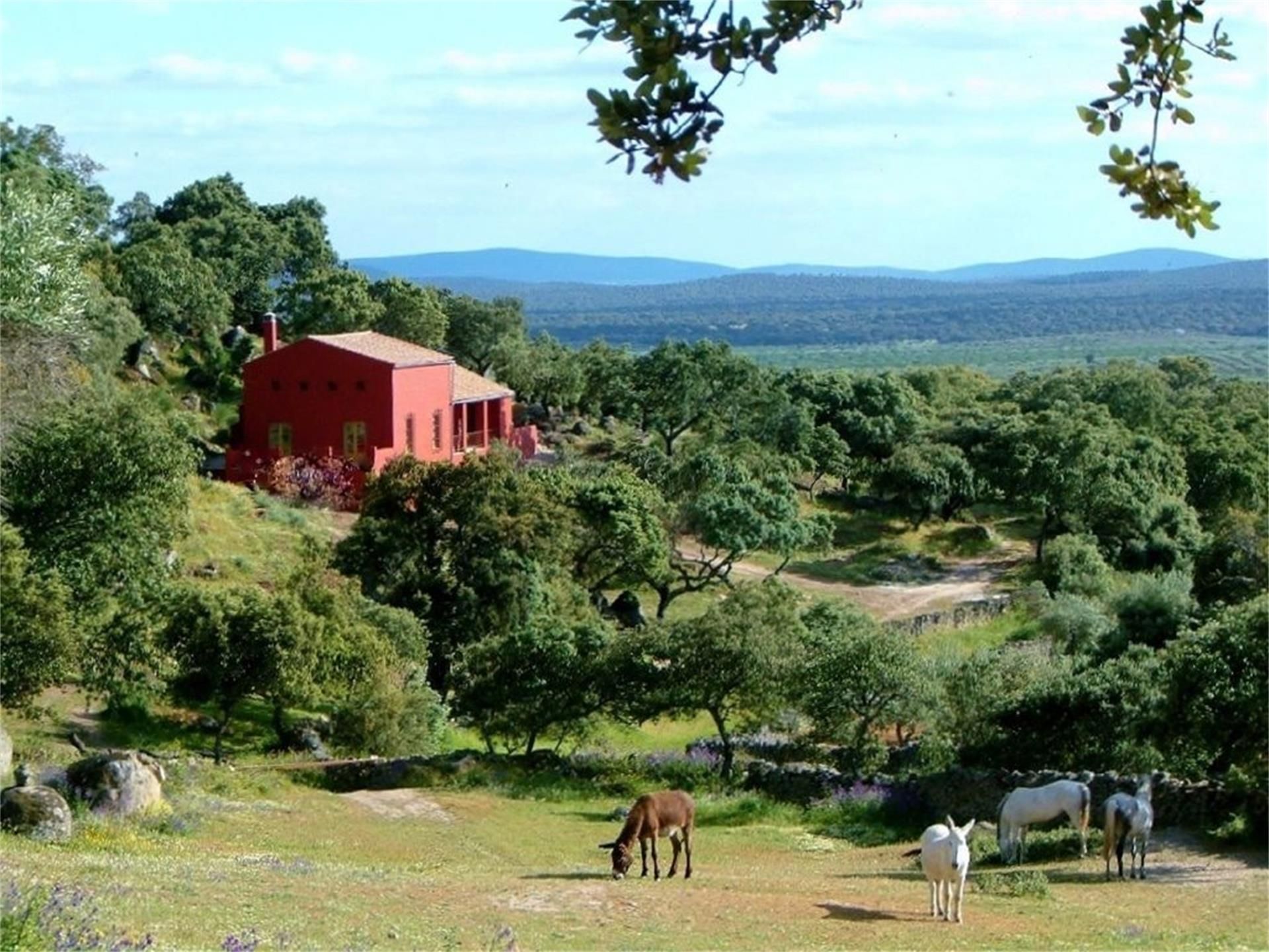 Jardí de Casa o xalet en venda en Montánchez amb Calefacció, Jardí privat i Terrassa