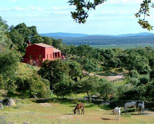 Garten von Haus oder Chalet zum verkauf in Montánchez mit Terrasse, Schwimmbad und Balkon