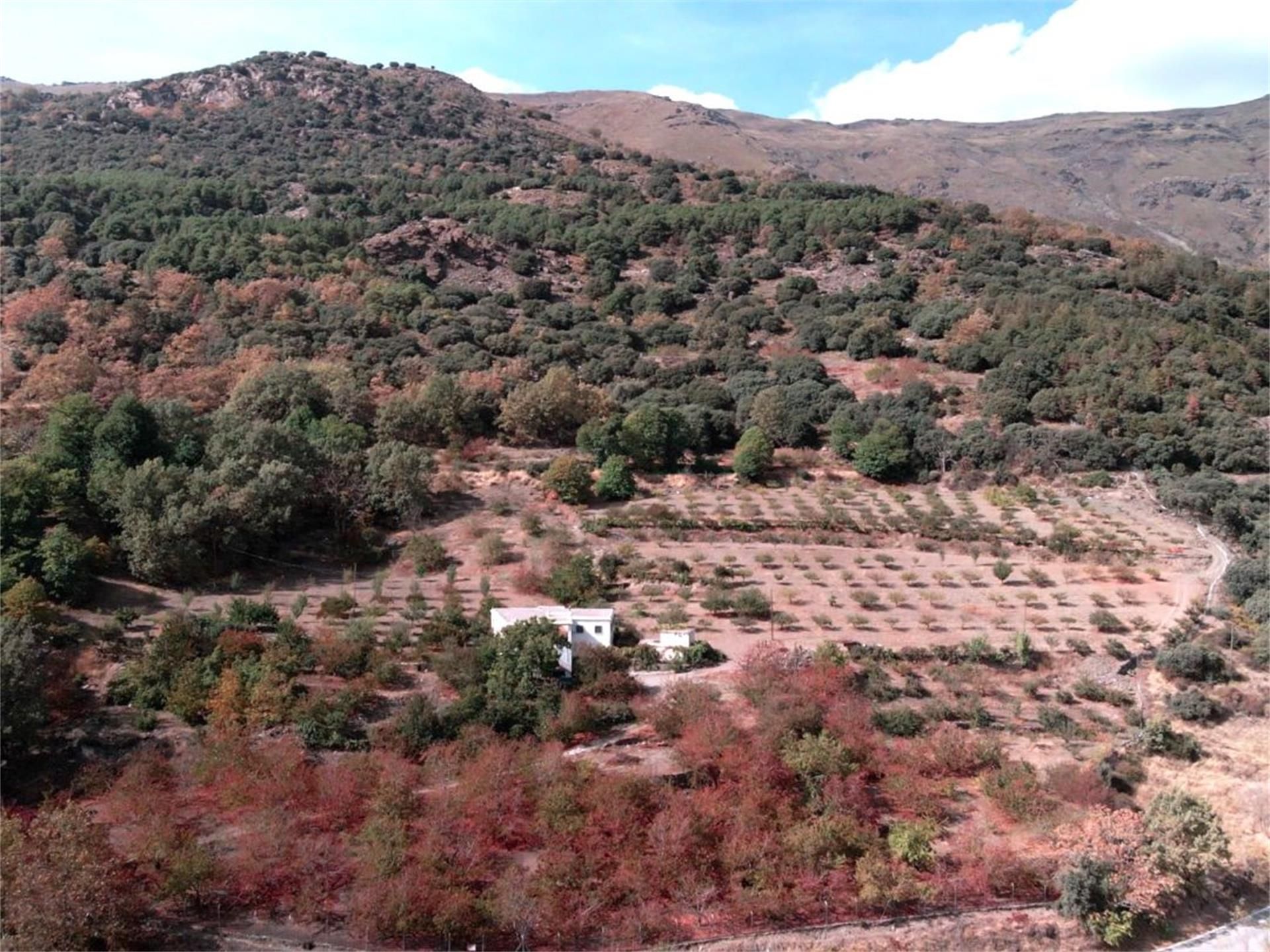 Finca rústica en venda en Busquístar amb Jardí privat, Terrassa i Traster
