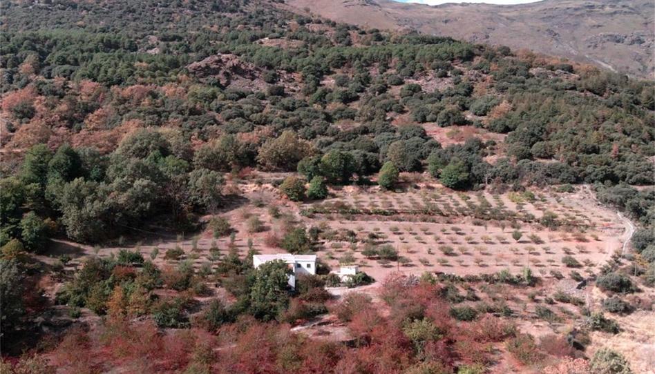Foto 1 de Finca rústica en venda a Calle Mezquita, 1, Busquístar, Granada