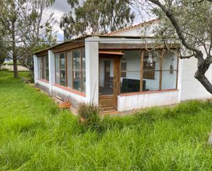 Vista exterior de Casa o xalet en venda en Amposta amb Aire condicionat, Terrassa i Piscina