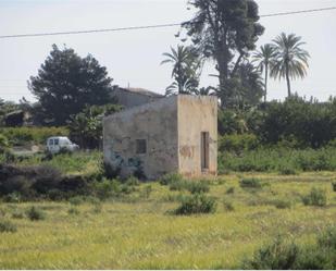 Country house for sale in Elche / Elx