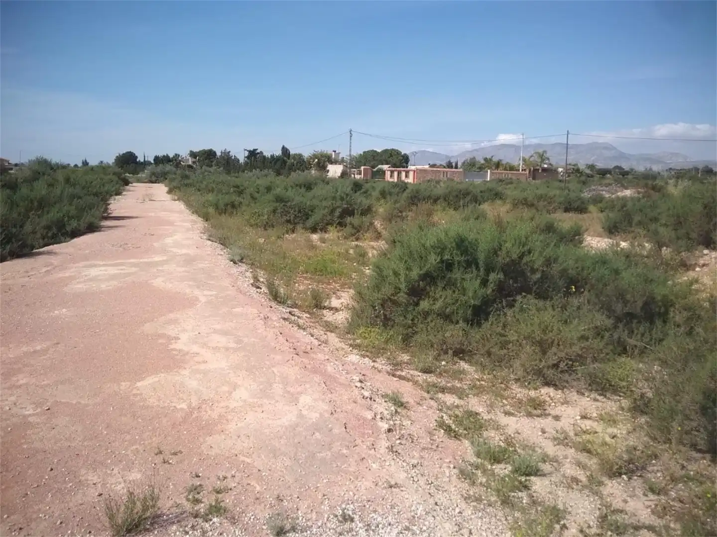 Finca rústica en venta en Partida Algoda, La Algoda - Matola - Llano de San José Finca rústica en venta en Elche / Elx