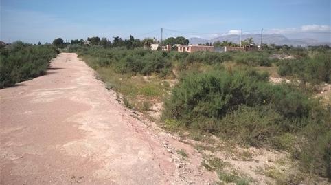Finca rústica en venta en Partida Algoda, 1009a, La Algoda - Matola - Llano de San José, Elche / Elx - imagen 2 Foto 2 de Finca rústica en venta en Partida Algoda, 1009a, La Algoda - Matola - Llano de San José, Elche / Elx