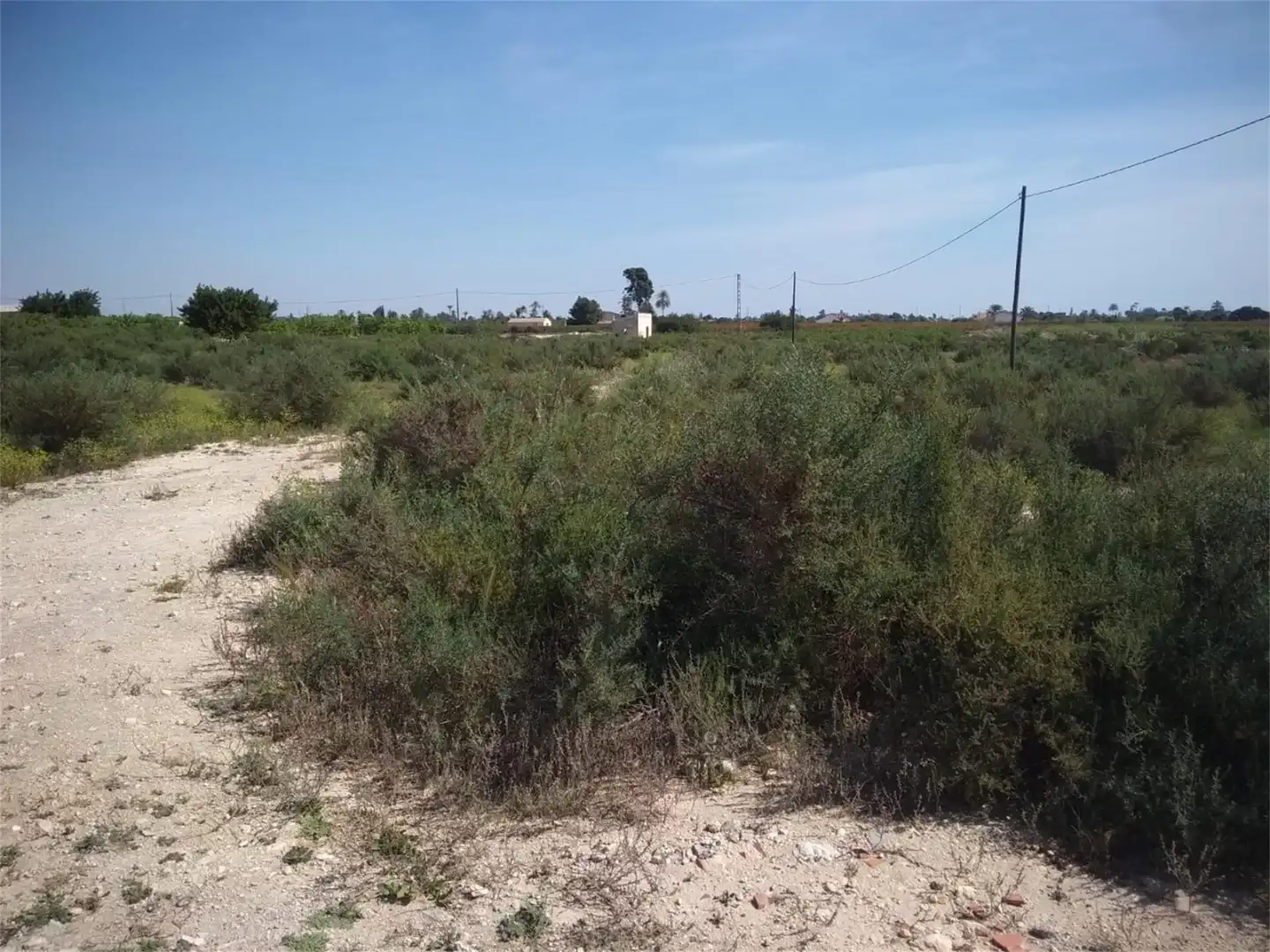 Finca rústica en venta en Partida Algoda, La Algoda - Matola - Llano de San José Finca rústica en venta en Elche / Elx