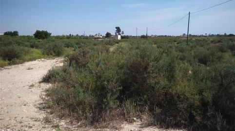 Finca rústica en venta en Partida Algoda, 1009a, La Algoda - Matola - Llano de San José, Elche / Elx - imagen 3 Foto 3 de Finca rústica en venta en Partida Algoda, 1009a, La Algoda - Matola - Llano de San José, Elche / Elx