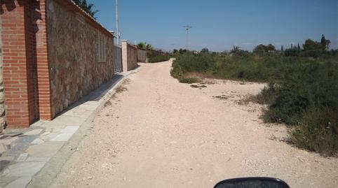 Finca rústica en venta en Partida Algoda, 1009a, La Algoda - Matola - Llano de San José, Elche / Elx - imagen 4 Foto 4 de Finca rústica en venta en Partida Algoda, 1009a, La Algoda - Matola - Llano de San José, Elche / Elx