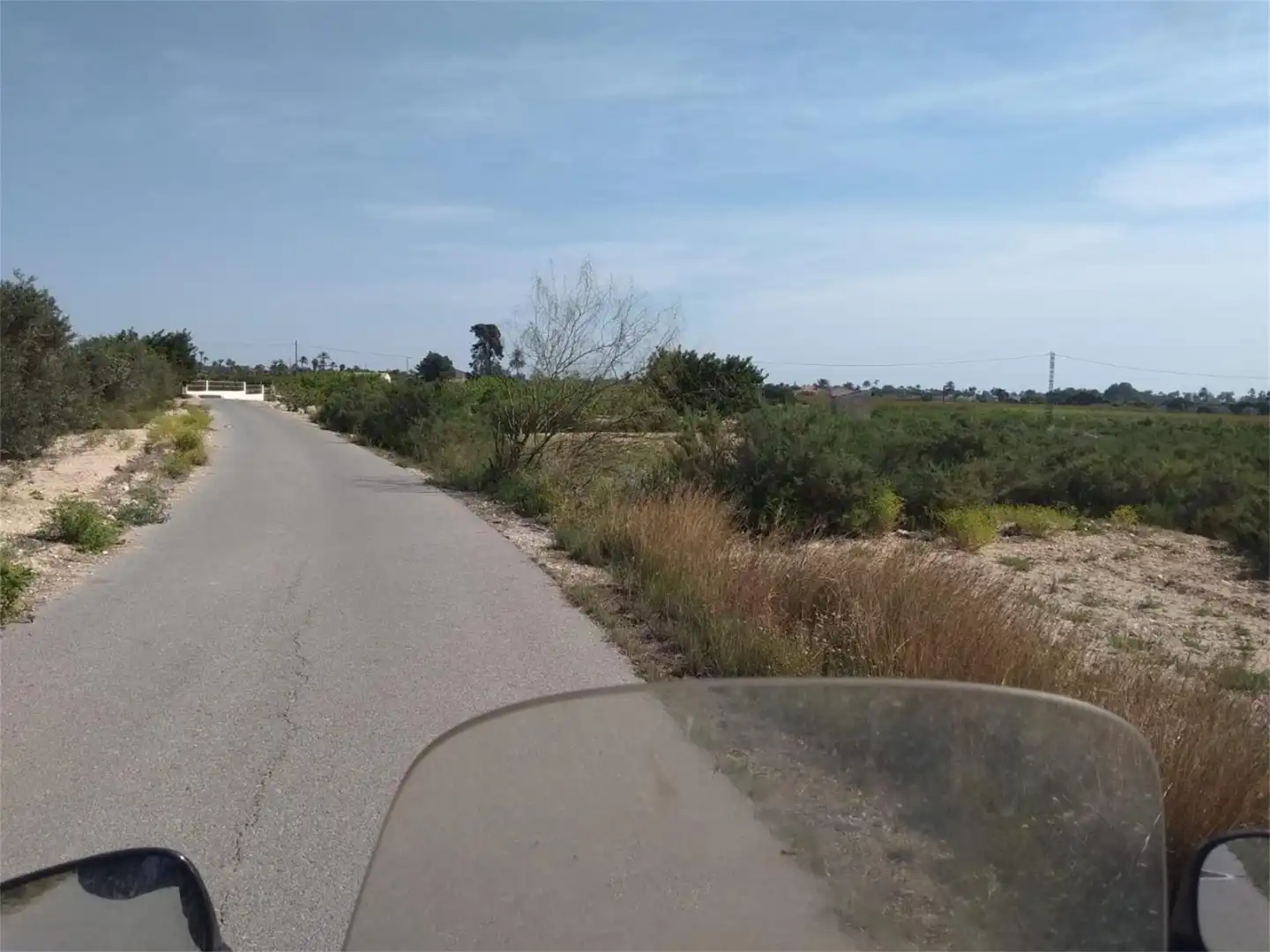 Finca rústica en venta en Partida Algoda, La Algoda - Matola - Llano de San José Finca rústica en venta en Elche / Elx